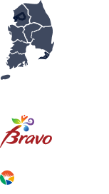지역카피